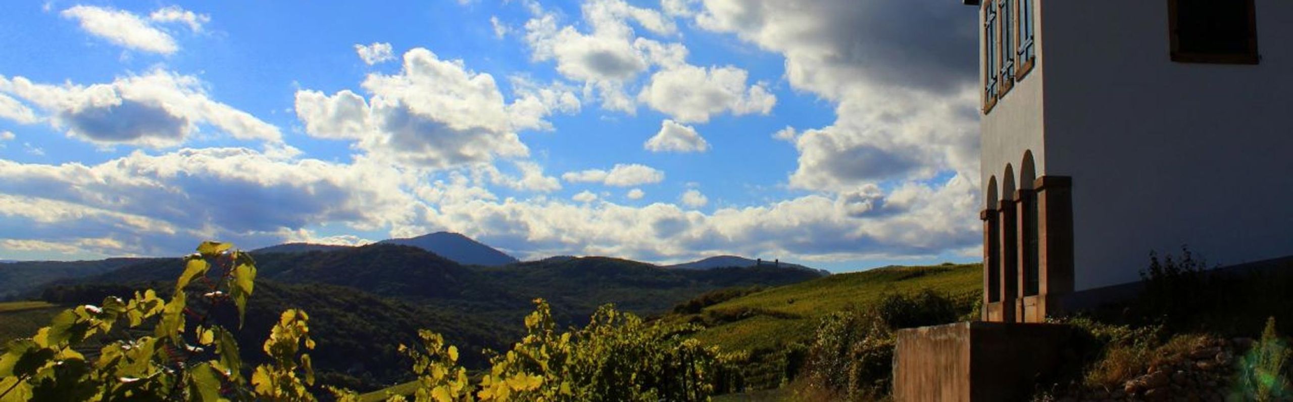 Découvrez l'offre touristique 